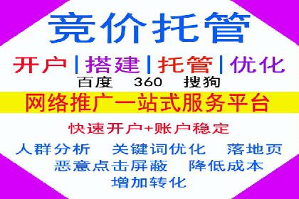 竞价SEM策略在金融行业的成功实践